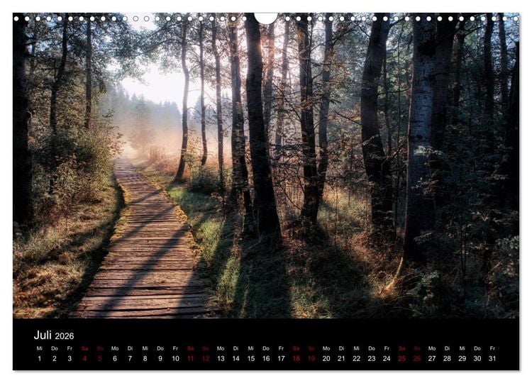 Produktbild: Wundersame Natur in Deutschland (Wandkalender 2026 DIN A3 quer), CALVENDO Monatskalender