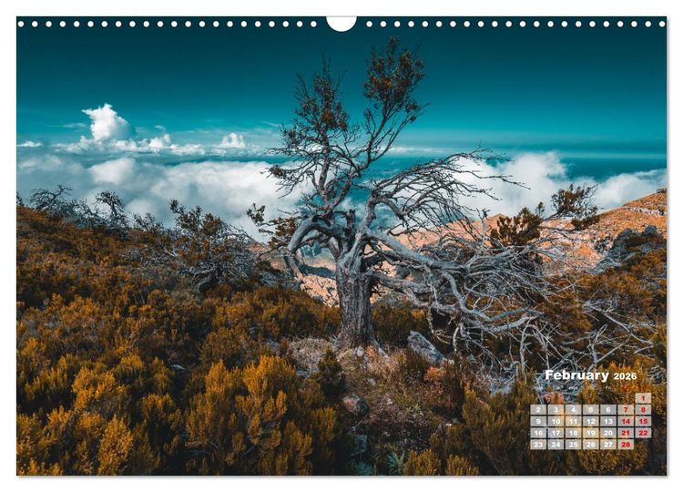 Produktbild: Madeira Island - Portugal (Wall Calendar 2026 DIN A3 landscape), CALVENDO 12 Month Wall Calendar