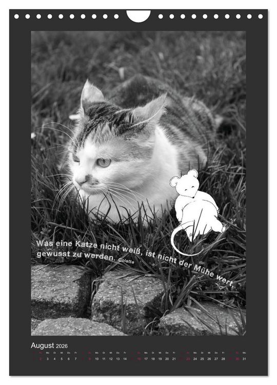 Produktbild: Katz & Maus (Wandkalender 2026 DIN A4 hoch), CALVENDO Monatskalender