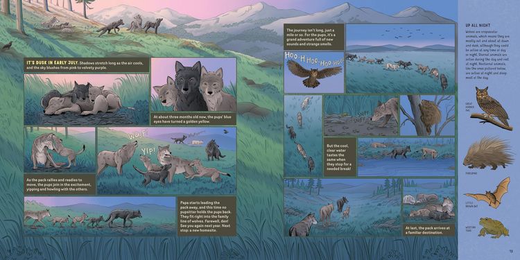 Produktbild: What Goes on Inside a Wolf Pack