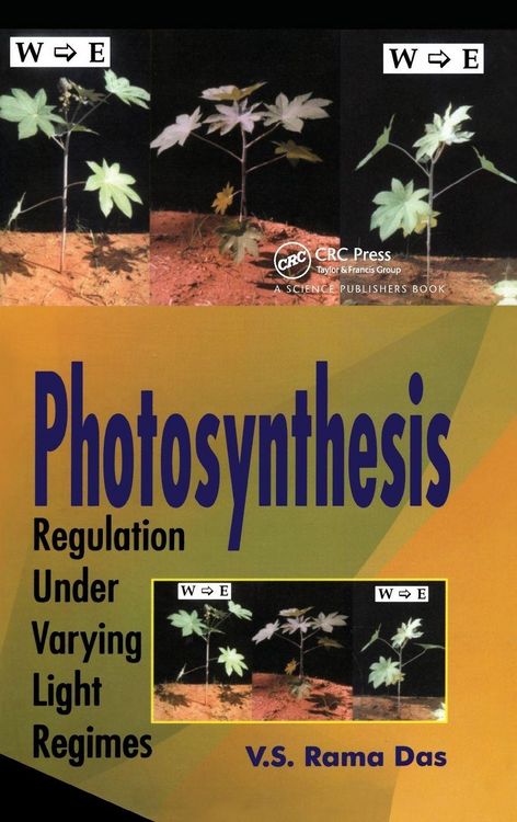 Produktbild: Photosynthesis
