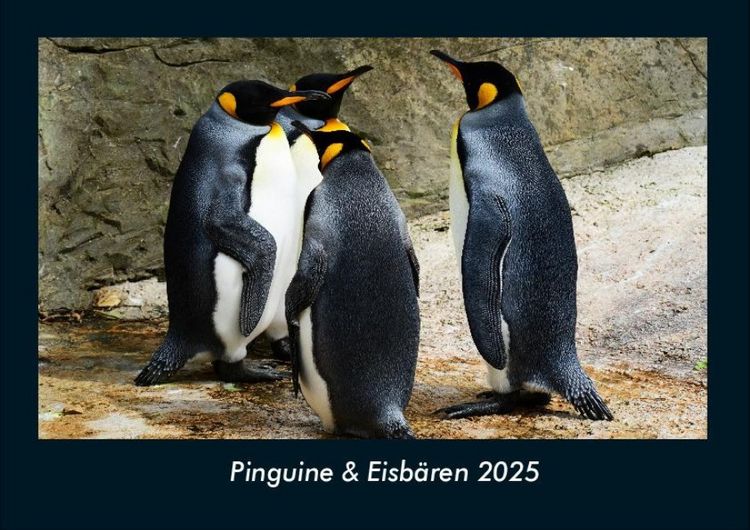Produktbild: Pinguine & Eisb&auml;ren 2025 Fotokalender DIN A4