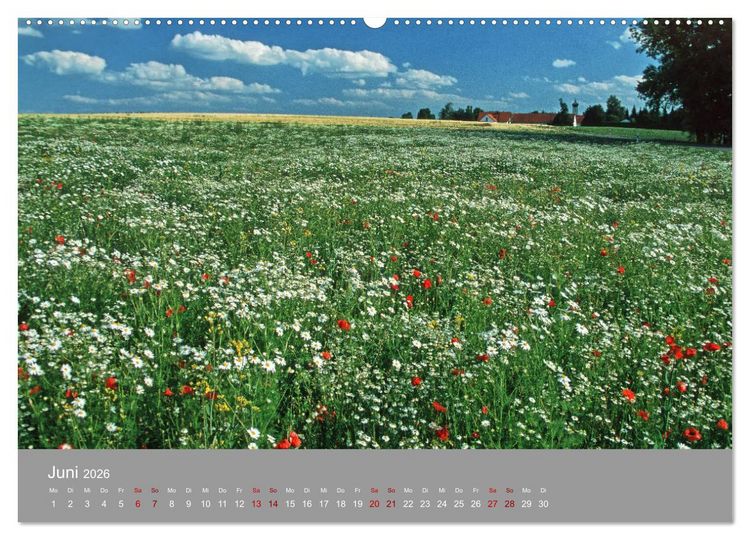Produktbild: Hallertau (Wandkalender 2026 DIN A2 quer), CALVENDO Monatskalender