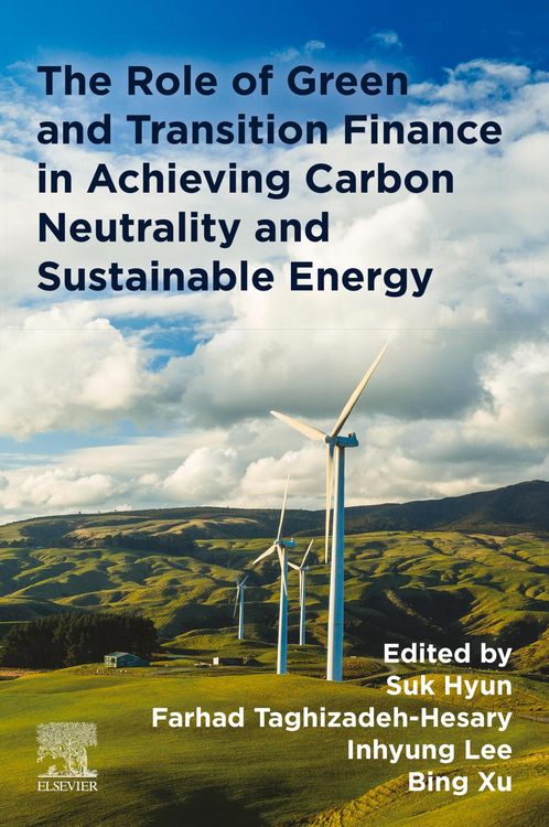 Produktbild: The Role of Green and Transition Finance in Achieving Carbon Neutrality and Sustainable Energy