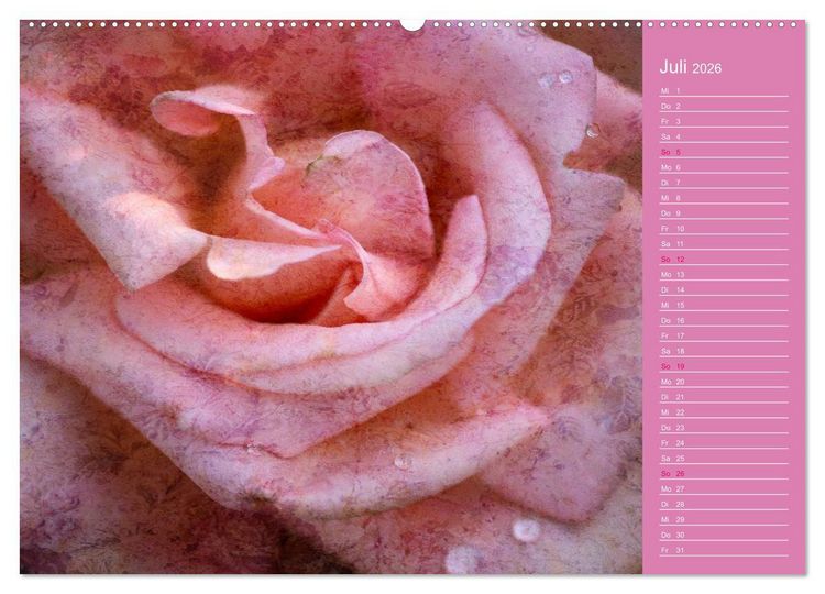 Produktbild: Romantische Rosen (Wandkalender 2026 DIN A2 quer), CALVENDO Monatskalender