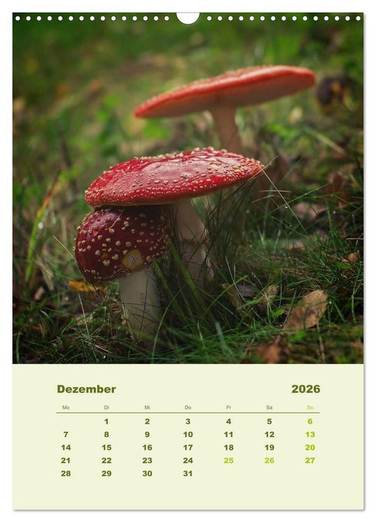 Produktbild: Wundersame Welt der Pilze (Wandkalender 2026 DIN A3 hoch), CALVENDO Monatskalender