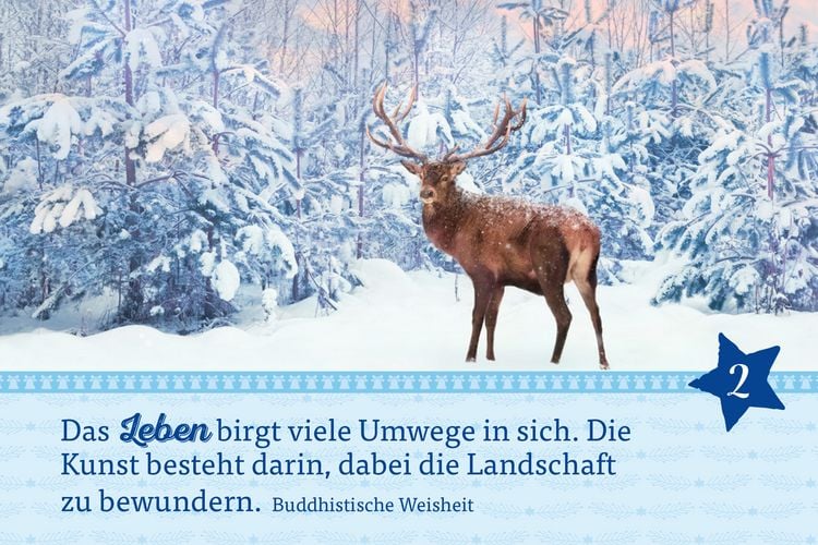 Produktbild: Hosentaschenadventskalender 2024