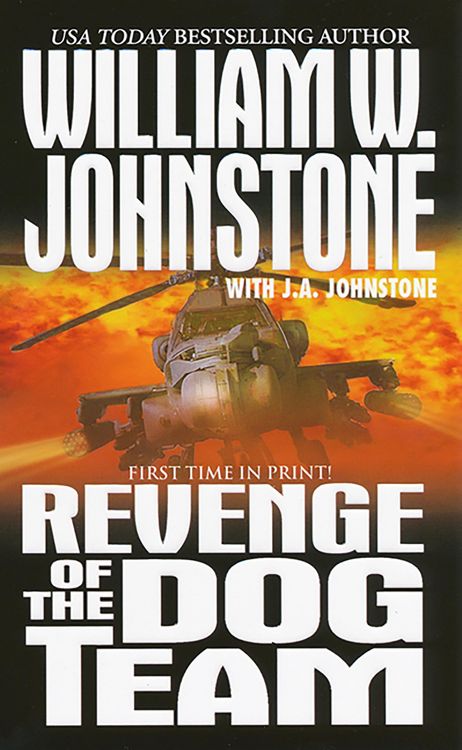 Produktbild: Revenge of The Dog Team