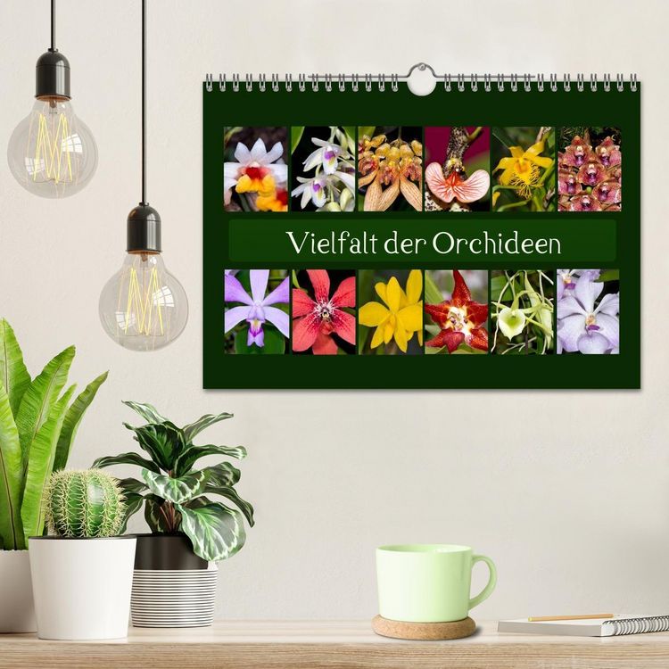 Produktbild: Vielfalt der Orchideen (Wandkalender 2026 DIN A4 quer), CALVENDO Monatskalender