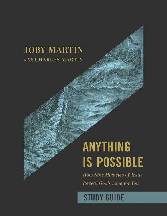 Produktbild: Anything Is Possible Study Guide