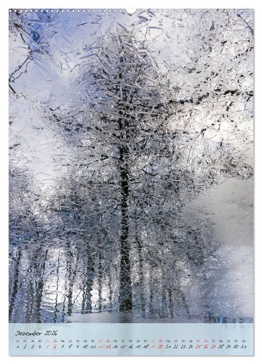 Produktbild: Wo der Wald tr&auml;umt (hochwertiger Premium Wandkalender 2026 DIN A2 hoch), Kunstdruck in Hochglanz