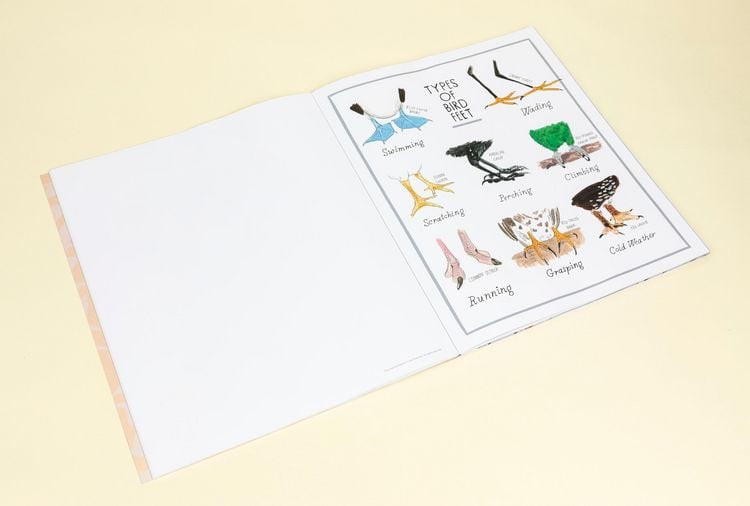 Produktbild: Bird Anatomy Posters
