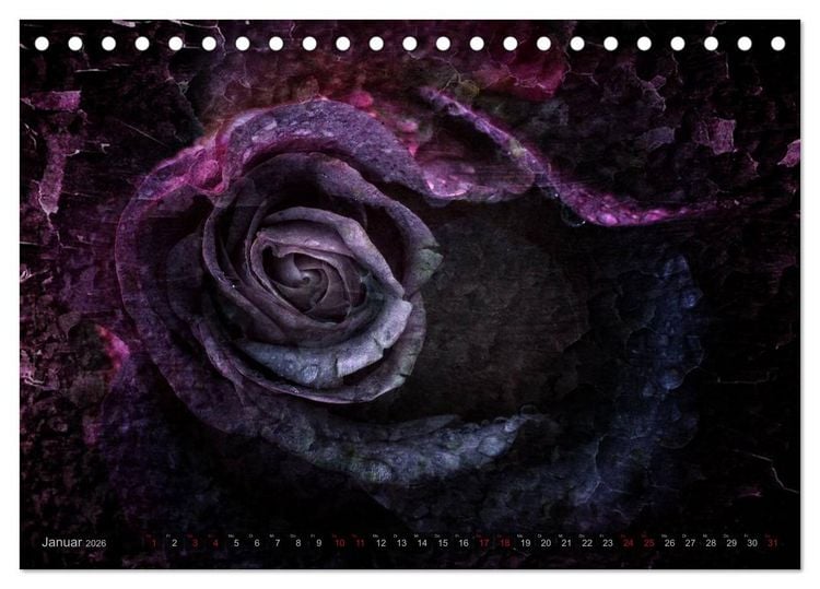 Produktbild: Gothic Rose - Rosen aus dem Garten der Finsternis (Tischkalender 2026 DIN A5 quer), CALVENDO Monatskalender