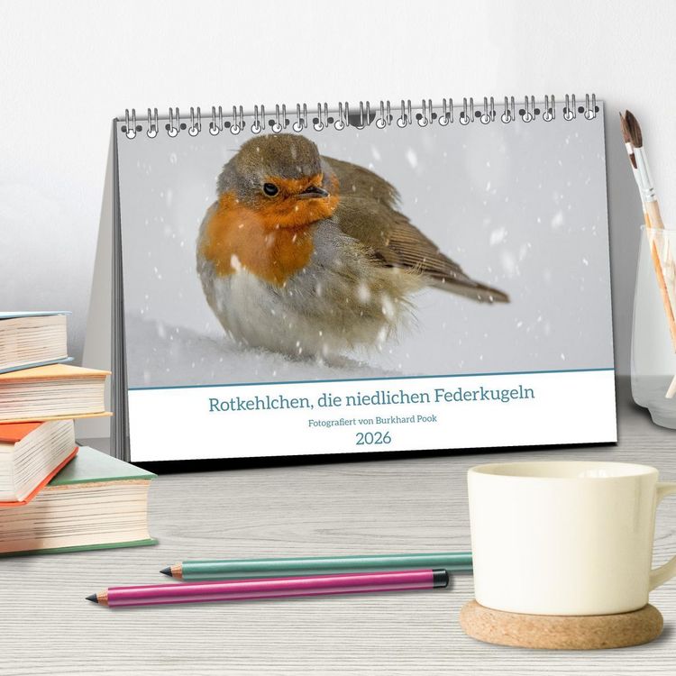 Produktbild: Rotkehlchen, die niedlichen Federkugeln (Tischkalender 2026 DIN A5 quer), CALVENDO Monatskalender