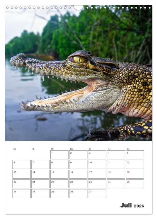 Produktbild: Sri Lanka 2026 - Exotisches Paradies - Jahresplaner (Wandkalender 2026 DIN A3 hoch), CALVENDO Monatskalender
