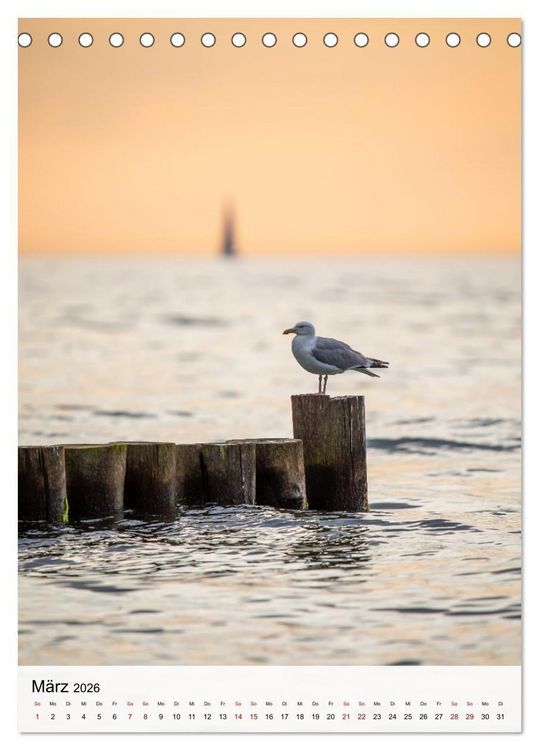Produktbild: Fischland-Dar&szlig;-Zingst - Im Licht des Nordens (Tischkalender 2026 DIN A5 hoch), CALVENDO Monatskalender