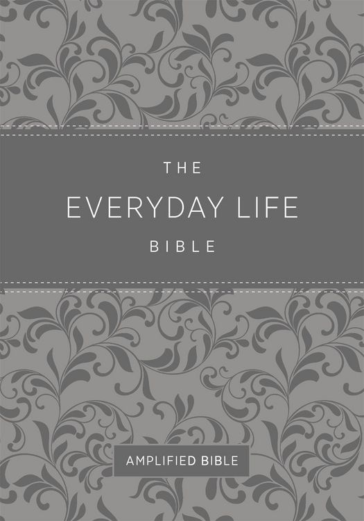 Produktbild: The Everyday Life Bible