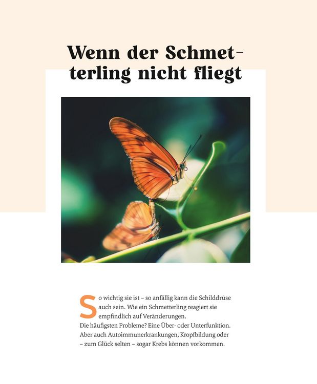 Produktbild: Meine Gesundheitsretter aus der Natur f&uuml;r eine starke Schilddr&uuml;se