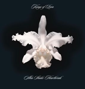 Produktbild: Aha Shake Heartbreak
