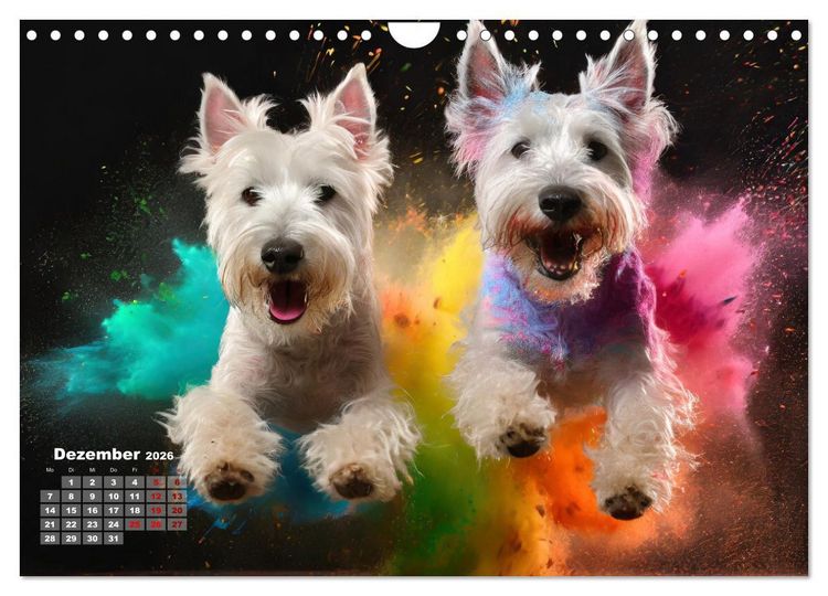 Produktbild: Holi Pulver - Doppelte Action (Wandkalender 2026 DIN A4 quer), CALVENDO Monatskalender