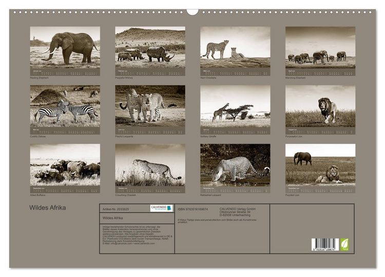 Produktbild: Wildes Afrika (Wandkalender 2026 DIN A2 quer), CALVENDO Monatskalender