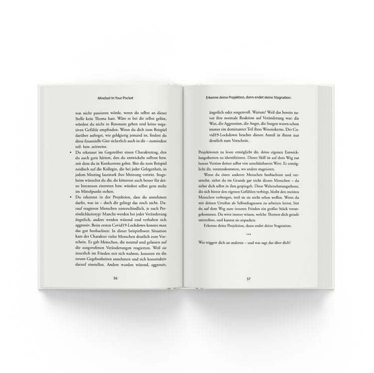 Produktbild: Meistere dein Mindset