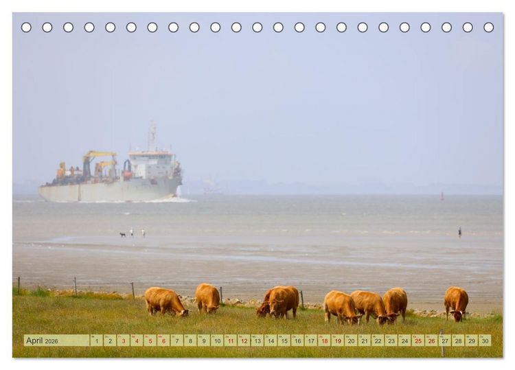 Produktbild: Cuxland, Urlaubsgl&uuml;ck zwischen Nordsee und Elbe (Tischkalender 2026 DIN A5 quer), CALVENDO Monatskalender