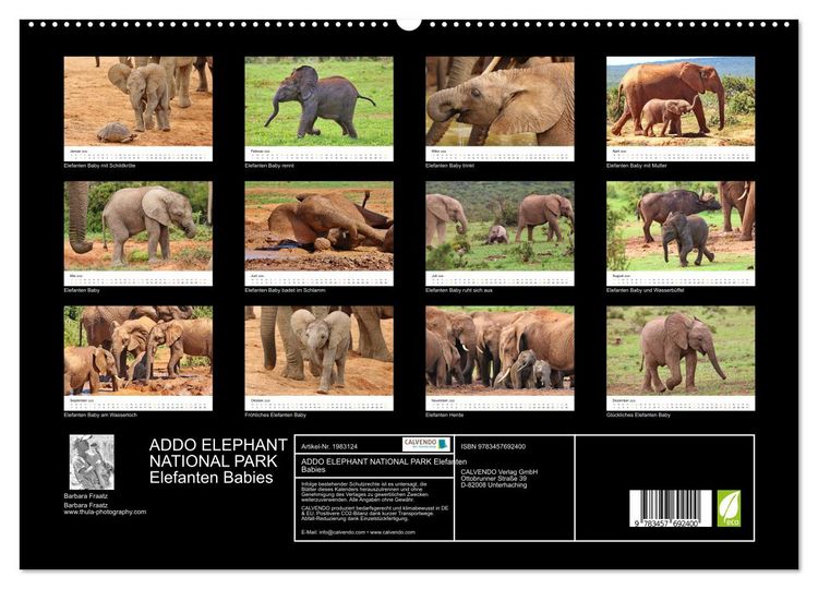 Produktbild: ADDO ELEPHANT NATIONAL PARK Elefanten Babies (hochwertiger Premium Wandkalender 2026 DIN A2 quer), Kunstdruck in Hochglanz