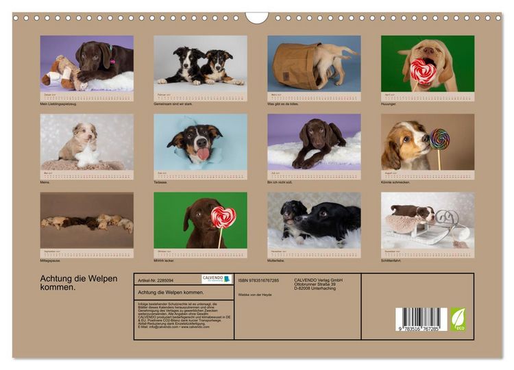 Produktbild: Achtung die Welpen kommen. (Wandkalender 2027 DIN A3 quer), CALVENDO Monatskalender
