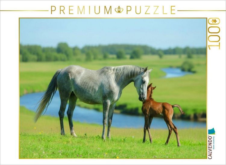 Produktbild: CALVENDO Puzzle Araberstute mit ihrem Fohlen am Fluss | 1000 Teile Lege-Gr&ouml;&szlig;e 64x48cm Foto-Puzzle f&uuml;r gl&uuml;ckliche Stunden