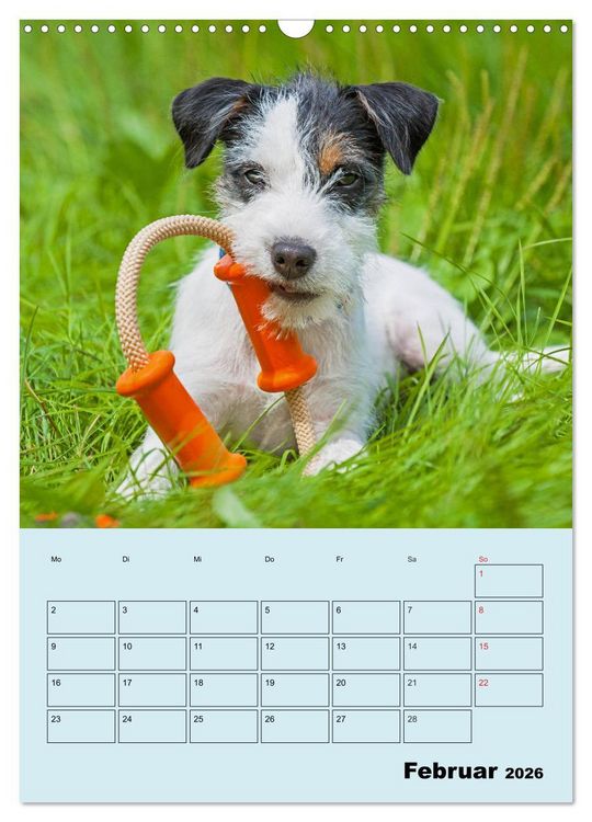 Produktbild: Familienplaner Jack und Parson Russell Terrier (Wandkalender 2026 DIN A3 hoch), CALVENDO Monatskalender