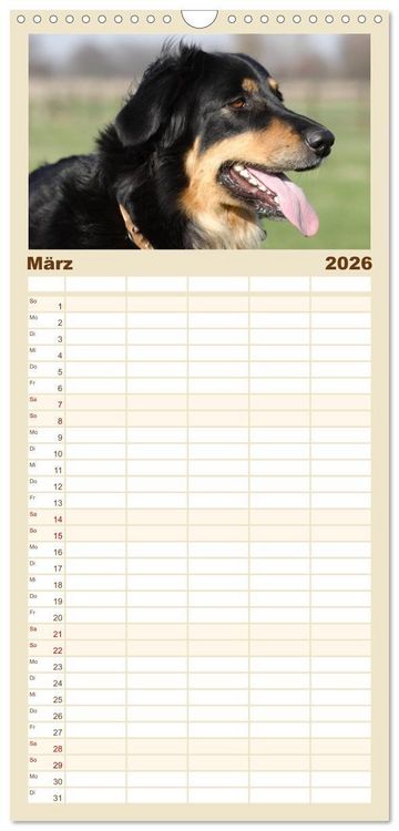 Produktbild: Familienplaner 2026 - Hovawarte - einmal anders mit 5 Spalten (Wandkalender, 21 x 45 cm) CALVENDO