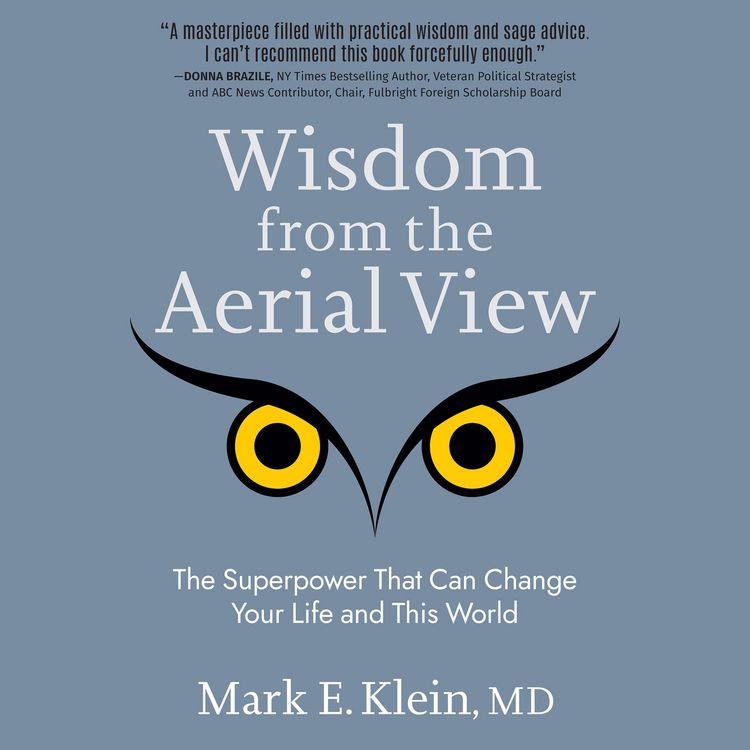 Produktbild: Wisdom from the Aerial View