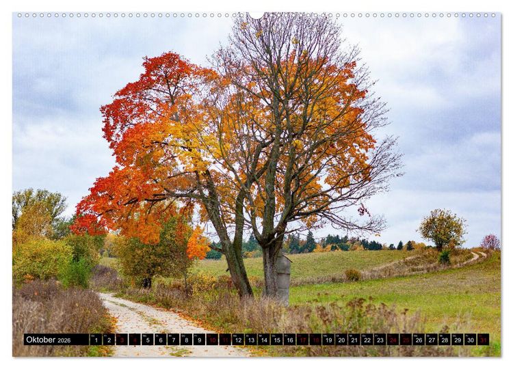 Produktbild: ERMLAND MASUREN (Wandkalender 2026 DIN A2 quer), CALVENDO Monatskalender