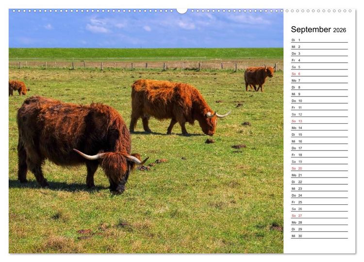 Produktbild: Langeoog - Sch&ouml;nste Insel Ostfrieslands (Wandkalender 2026 DIN A2 quer), CALVENDO Monatskalender