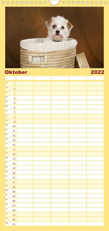 Produktbild: Familienplaner Bunte Pfoten (Wandkalender 2022 , 21 cm x 45 cm, hoch)