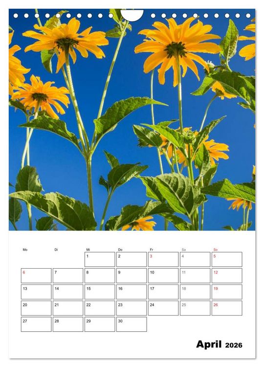 Produktbild: Farben der Natur (Wandkalender 2026 DIN A4 hoch), CALVENDO Monatskalender