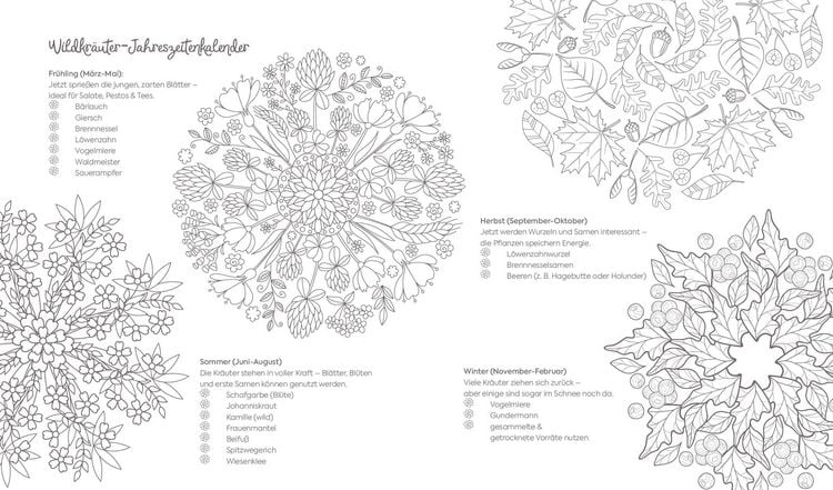 Produktbild: Ausmalreise Kr&auml;uterduft und Wanderlust