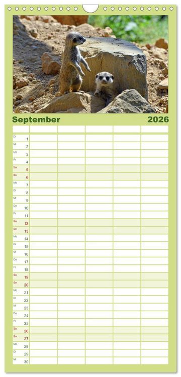 Produktbild: Familienplaner 2026 - Erdm&auml;nnchens Kinderstube mit 5 Spalten (Wandkalender, 21 x 45 cm) CALVENDO
