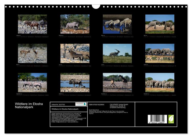 Produktbild: Wildtiere im Etosha Nationalpark (Wandkalender 2026 DIN A3 quer), CALVENDO Monatskalender