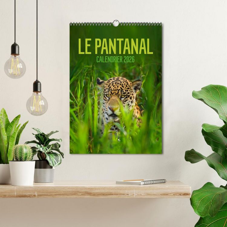 Produktbild: Le Pantanal (Calendrier mural 2026 DIN A3 horizontal), CALVENDO calendrier mensuel