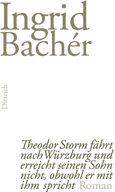Produktbild: Theodor Storm f&auml;hrt nach W&uuml;rzburg und erreicht seinen Sohn nicht, obwohl er mit ihm spricht