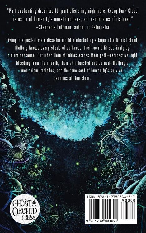 Produktbild: Every Dark Cloud