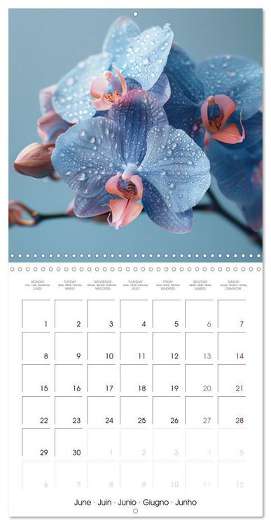 Produktbild: colorful orchid family planner (Wall Calendar 2026 12 &times; 12 Inch) CALVENDO 12 Month Wall Calendar