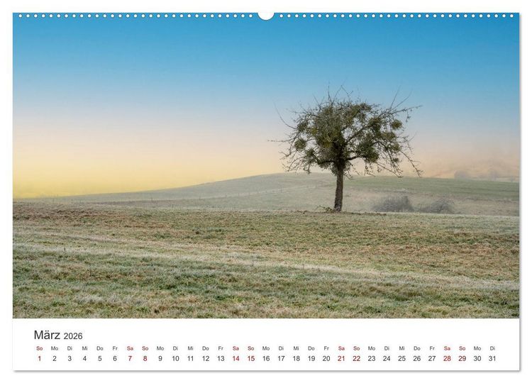 Produktbild: B&auml;ume - Gelebtes Leben (hochwertiger Premium Wandkalender 2026 DIN A2 quer), Kunstdruck in Hochglanz