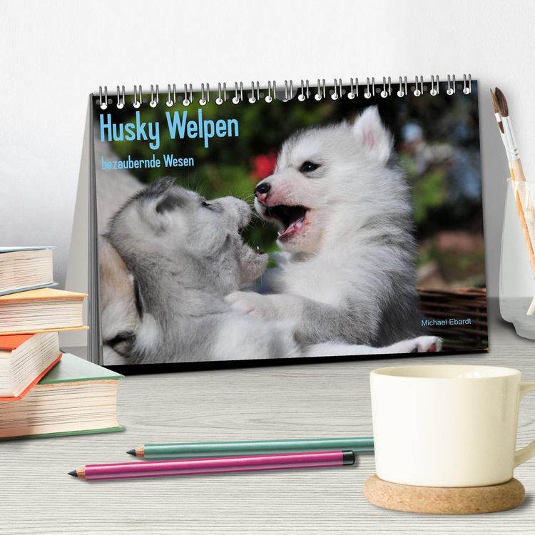 Produktbild: Husky Welpen (Tischkalender 2026 DIN A5 quer), CALVENDO Monatskalender
