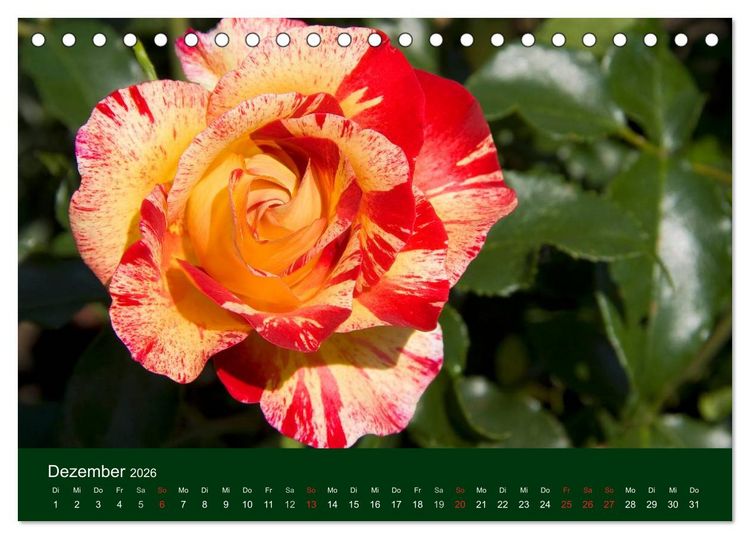 Produktbild: Blumen und Bl&uuml;ten (Tischkalender 2026 DIN A5 quer), CALVENDO Monatskalender