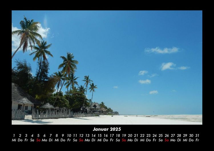 Produktbild: Palmentraum 2025 Fotokalender DIN A3