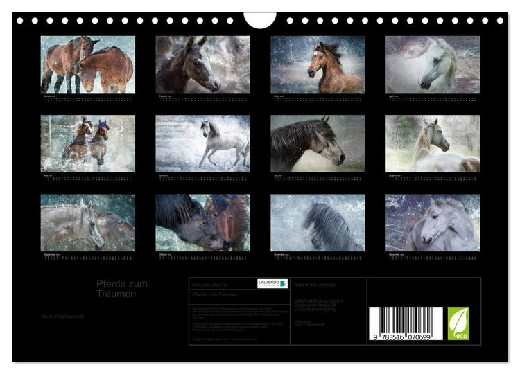Produktbild: Pferde zum Tr&auml;umen (Wandkalender 2026 DIN A4 quer), CALVENDO Monatskalender