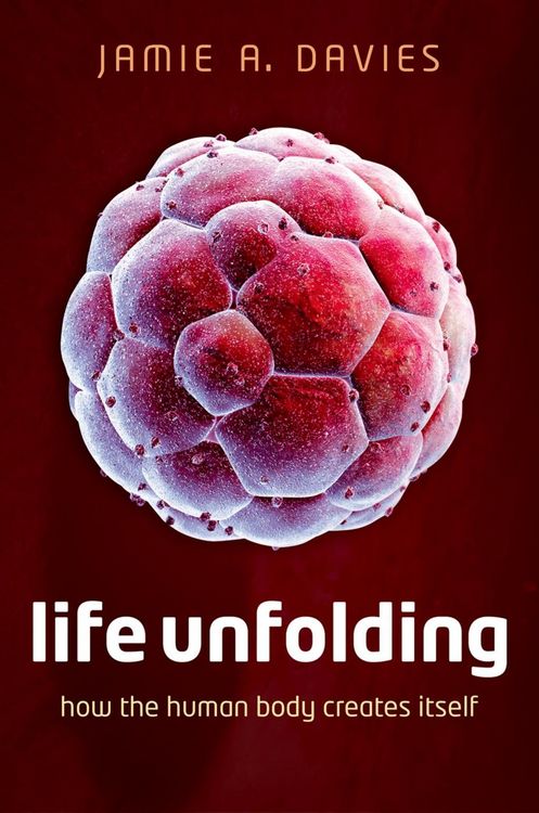 Produktbild: Life Unfolding